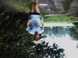 0DIA 1988 RAVAKAMP